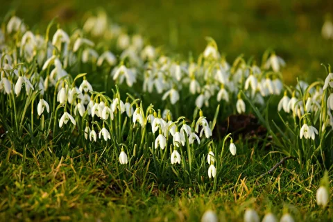 Bildquelle Pixabay